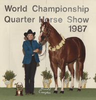 highest honor Am Yr stallion 1987.jpg